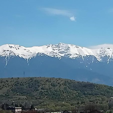 Apartament Le Nid D'Adam Zărneşti Zewnętrze zdjęcie