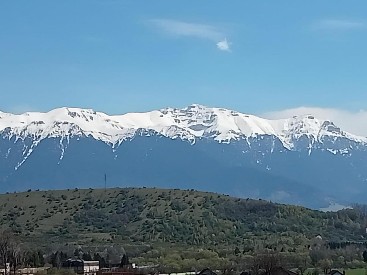 Apartament Le Nid D'Adam Zărneşti Zewnętrze zdjęcie